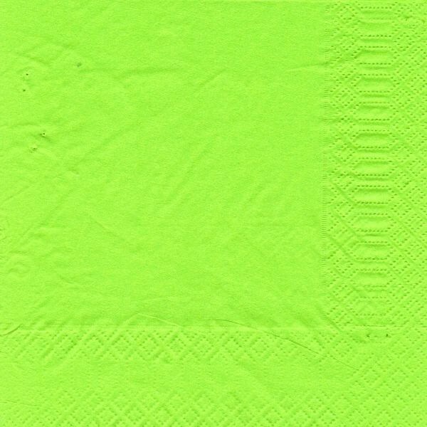 finezza Napkin Luxury Light Green 500PCS 24X24 2Π-ΑΤ-50 0140430034