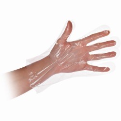 OEM Gloves Disposable LDPE Transparent 100PCS Large 12-00-033 4015544263206