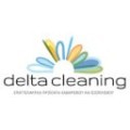 delta cleaning